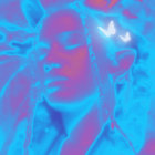 veinedevenus thumbnail