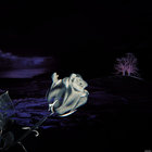 WASTEMYHATE thumbnail