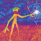 iris_noll thumbnail