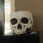 PhospheneGate thumbnail