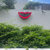 Thunderhead thumbnail