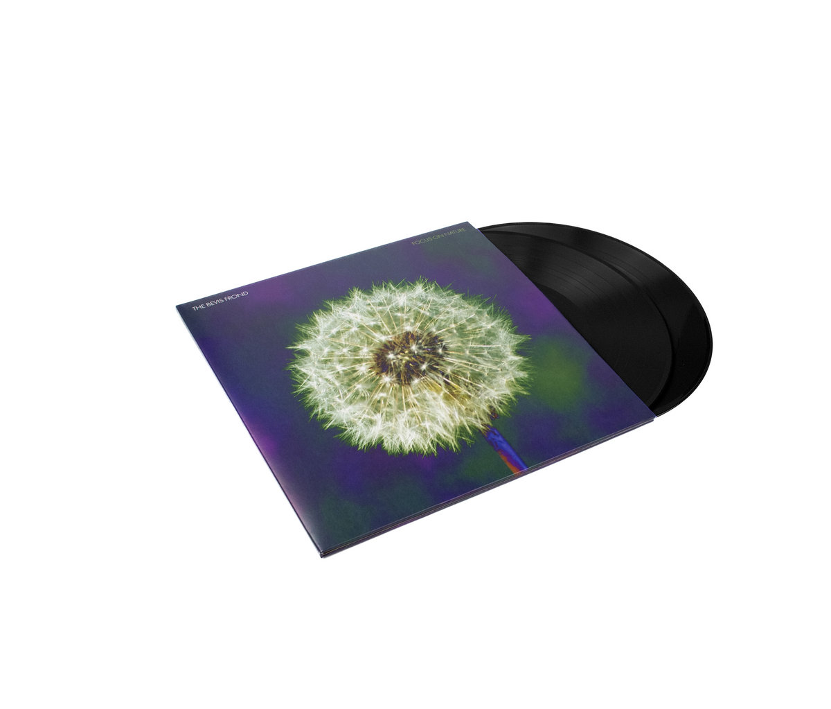 Magna Carda -, image size:1200x1023