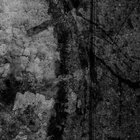 intervisualmind thumbnail