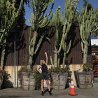 feralverdure thumbnail