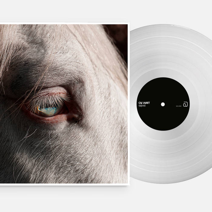 SIGNAL – SIGNAL LP