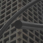 stam- thumbnail
