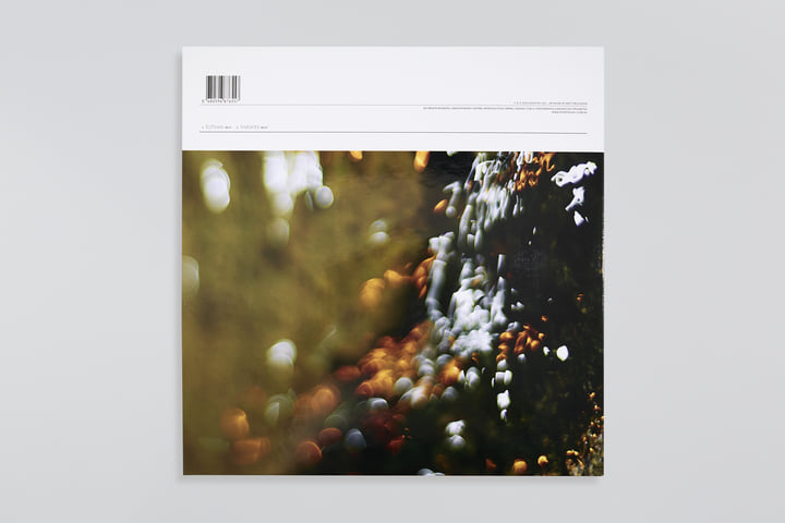 INSTANTS & THEIR ECHOES | Jules Reidy