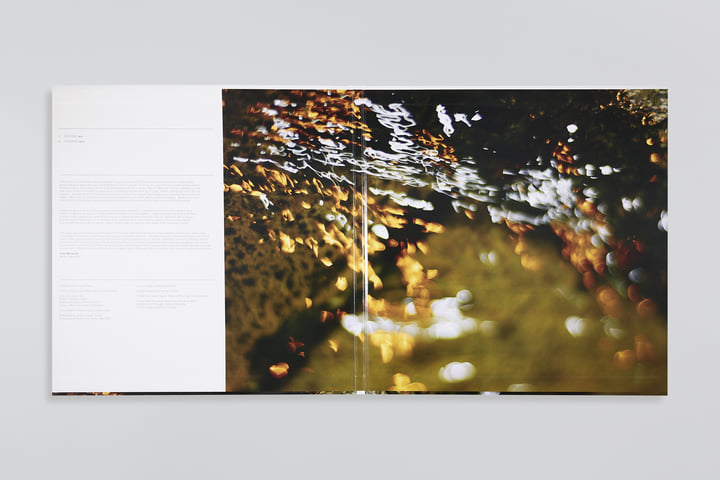 INSTANTS & THEIR ECHOES | Jules Reidy