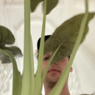 salus-populi thumbnail