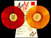 Lilys In the Presence of Nothing 限定LP Lilys In the Presence of Nothing 限定LP LILYS - In The