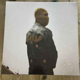 LIMITED 12" Vinyl, image 1