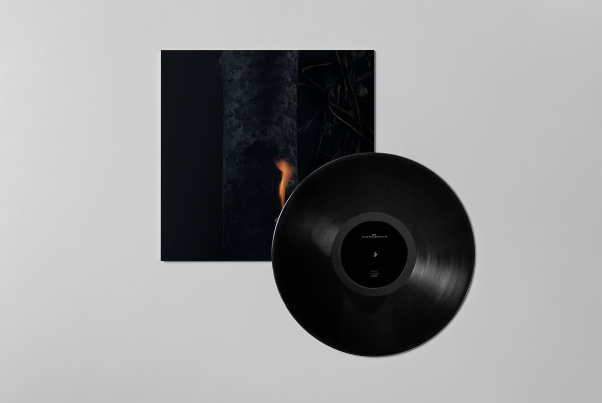 DeliciousTaylormade The RAD ハカランダCask46 ドメーヌ・ド・ラ・ガランス レ ザルミエール｜ワイン通販の世界