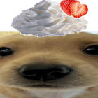 luvthestench thumbnail