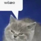 woaeo thumbnail