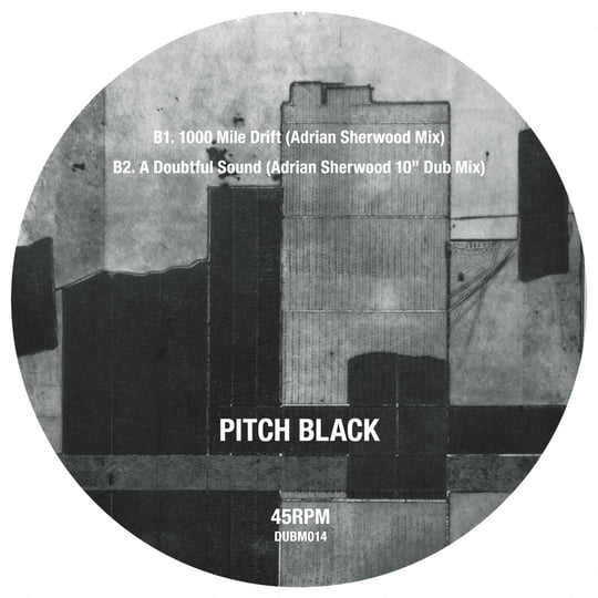 Echoes of the Night (The Adrian Sherwood Remixes) | Pitch Black