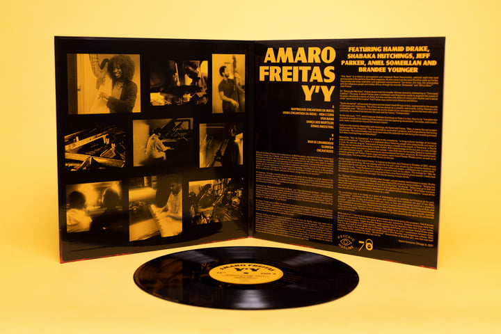 Amaro Freitas Y'Y レコード 帯付き