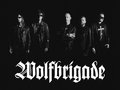 Wolfbrigade image