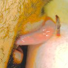 priscilla malcontento thumbnail