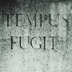 Timeismusic thumbnail