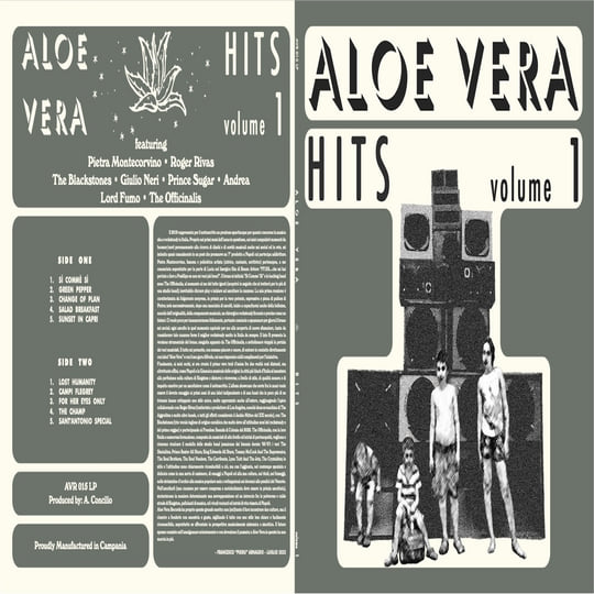 伊LP Various Aloevera Hits Volume 1 AVR015LP Aloevera Records /00250 Aloevera Hits vol 1 | various | aloevera records