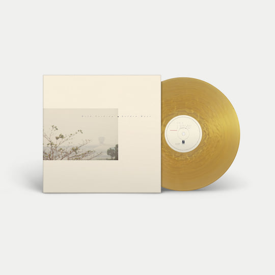 Golden Haze | Wild Nothing