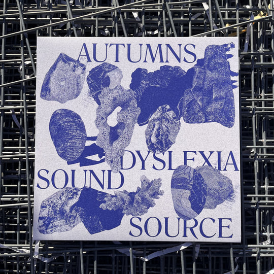 Dyslexia Sound Source | Autumns