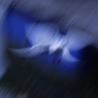 moreTBA thumbnail