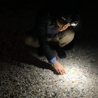 h_iwasa thumbnail