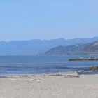 ell3733 thumbnail