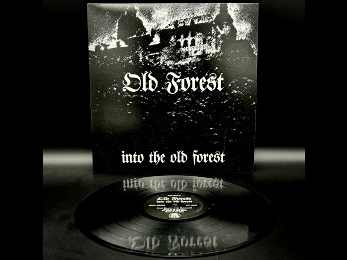 Into the Old Forest | Old Forest | NWN! Productions LLC