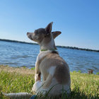 aliceannandale thumbnail