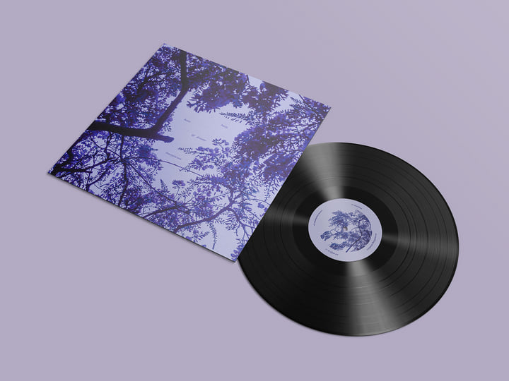 LP Marysia Osu Harp, Beats &amp; Dreams BWOOD0370LP BROWNSWOOD 未開封 /00260 harp, beats & dreams | Marysia Osu