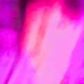 TOPAZ — Photo