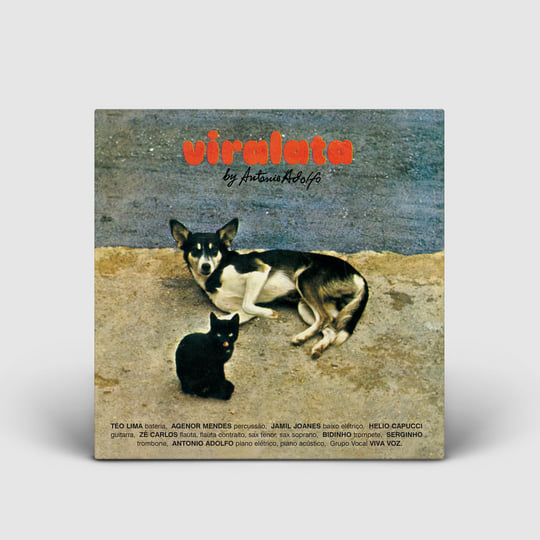Viralata | Antonio Adolfo