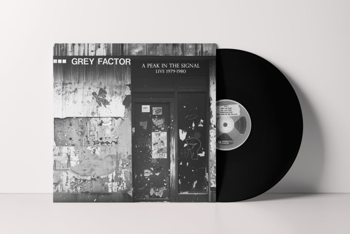 邦楽 ACID GRAY EARTH LP Amazon.com: Axe Heaven 1979 Les Paul Adam Jones Silver Burst