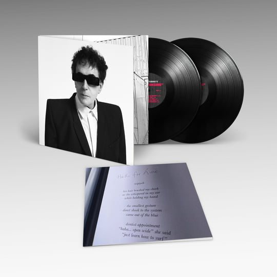 ワールドワイド2LP Peter Perrett The Cleansing WIGLP543 Domino /00520 2LP PETER PERRETT The Cleansing WIGLP543 Domino WORLDWID | eBay