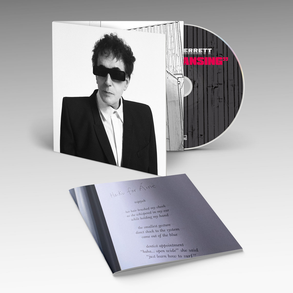 ワールドワイド2LP Peter Perrett The Cleansing WIGLP543 Domino /00520 2LP PETER PERRETT The Cleansing WIGLP543 Domino WORLDWID | eBay
