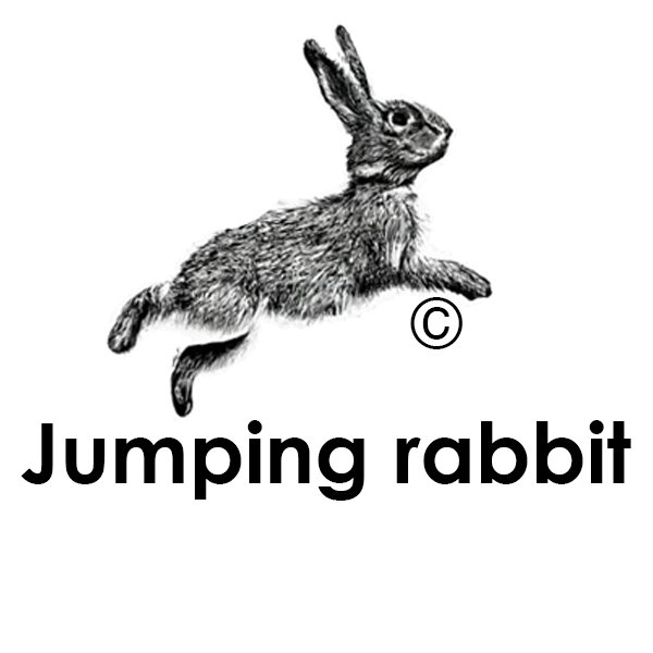 I Search Talking To The Black Mirror Jumping Rabbit i-search-talking-to-the-black-mirror-jumping-rabbit