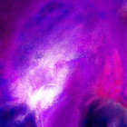 Eli worm thumbnail