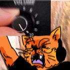 gastarcharzh thumbnail