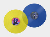 Vylet Pony – Carousel アナログレコード Carousel (An Examination of the Shadow, Creekflow, and its Life as