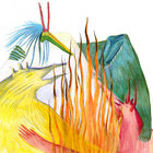 umbligo thumbnail
