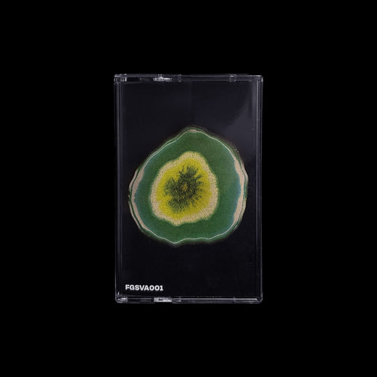 Fungus | Various Artists | Nona