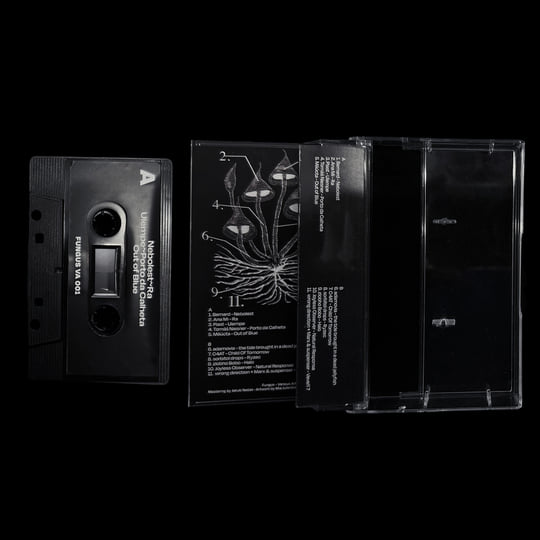 Fungus | Various Artists | Nona