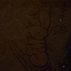 terko89 thumbnail