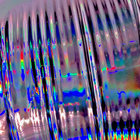microflora thumbnail