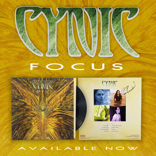 Focus | Cynic