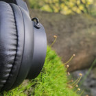 thachyonik thumbnail