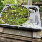 Dave Regan thumbnail