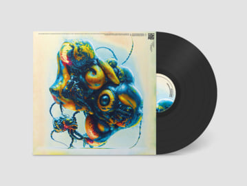Limited 12" Vinyl, image 1